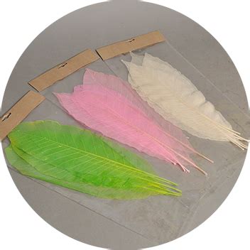 Leaves & Grasses – Bhalotia International