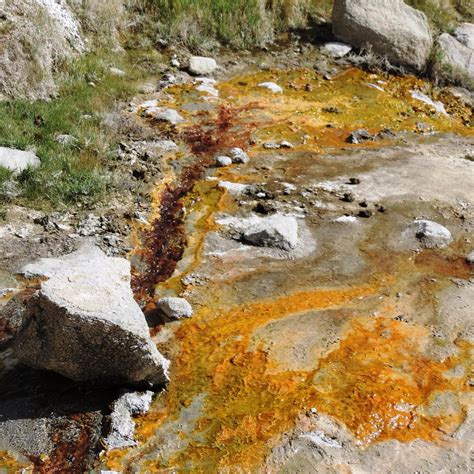 PANAMIC HOT SULPHUR SPRINGS (2025) All You Need to Know BEFORE You Go ...