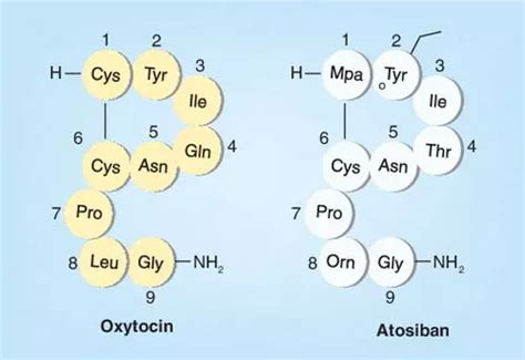 Atosiban for Preterm Birth: Prolongs labour but not Neonatal outcomes ...