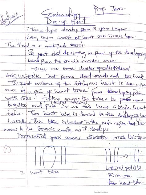 Image result for Heart Development PDF