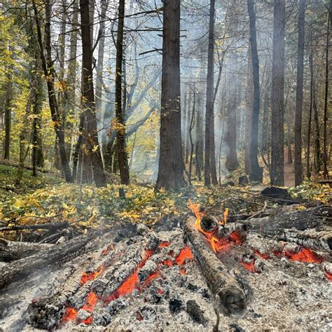 'Larger-scale prescribed burn project continues around Magalia' - Chico ...