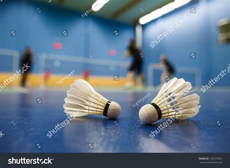 Play Badminton 的图像结果