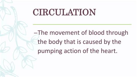 Circulation Class 12 的图像结果
