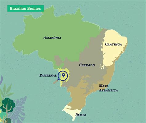 Demand for soy puts pressure on Pantanal, Brazil's largest wild wetland