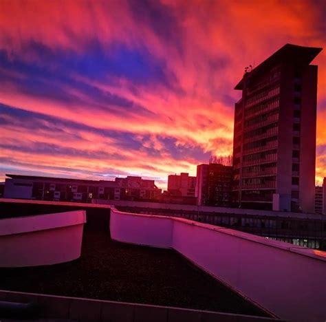 StudyQA — University of Strasbourg — Strasbourg — France: Fees ...