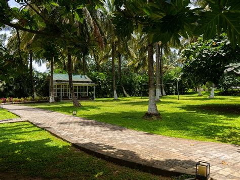 Gundlupet Tourism (2024): All You Need to Know Before You Go