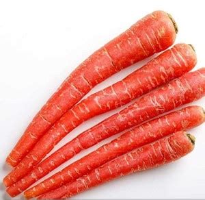 KANAYA Gajar Hybrid Vegetable Seed Price in India - Buy KANAYA Gajar ...
