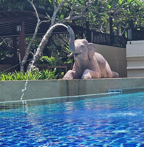 DEEVANA PATONG RESORT & SPA (Phuket) - Resort Reviews, Photos, Rate ...