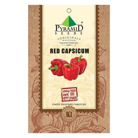 Pyramid Seeds Red Capsicum Seeds (50 Seeds) : Amazon.in: Garden & Outdoors