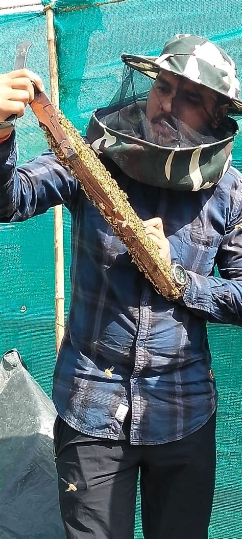 Bee Keeping | PLANTICA
