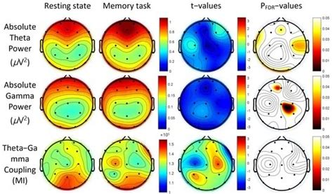 The Functional Interactions between Cortical Regions through Theta ...
