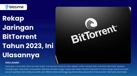 BitTorrent Network 的图像结果