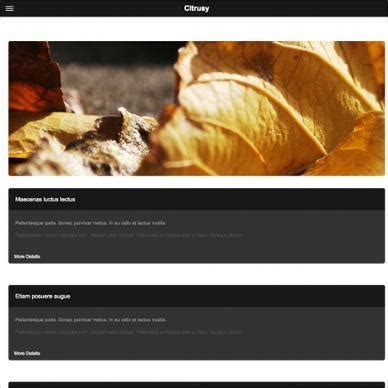 Image result for JavaScript Website Templates Free Download