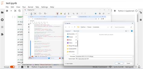 How to Save Our Program in Jupyter Notebook 的图像结果