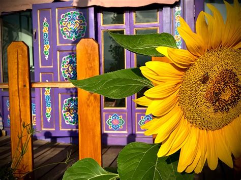 NIRVANA YURTS GLAMPING (Kato Drys) - Campground Reviews & Photos ...