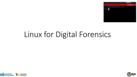 Command Line Tutorial 的图像结果