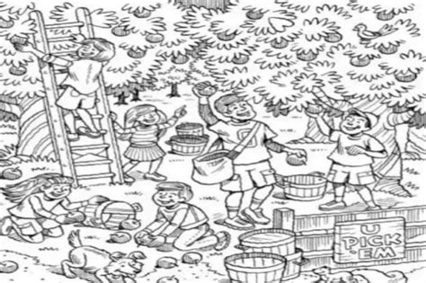 Optical Illusion: Find the Fin! Dive into the Challenge of Spotting the ...