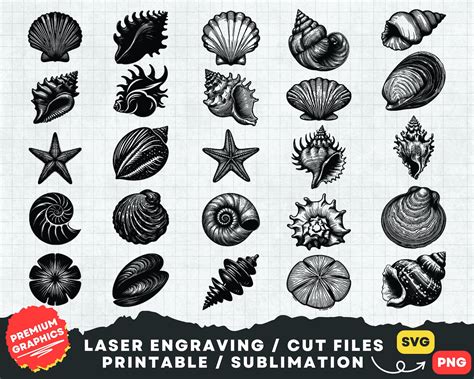 Image result for SeaShell SVG