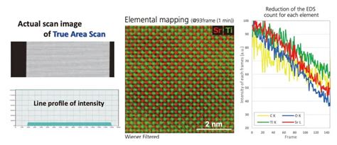 Ed's Engine DataScan 的图像结果