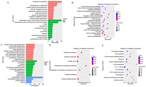 Integration of Long Non-Coding RNA and mRNA Profiling Reveals the ...