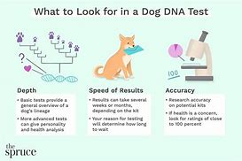 Image result for Dog DNA Test