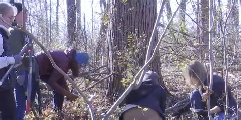 Volunteers help remove invasive species from campus bird sanctuary