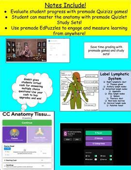 Image result for Crash Course Lymphatic System