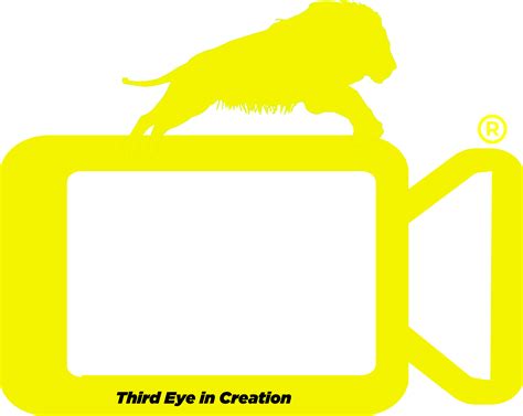 Image result for Video Editing Course