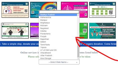 Find Driving Licence number By Name