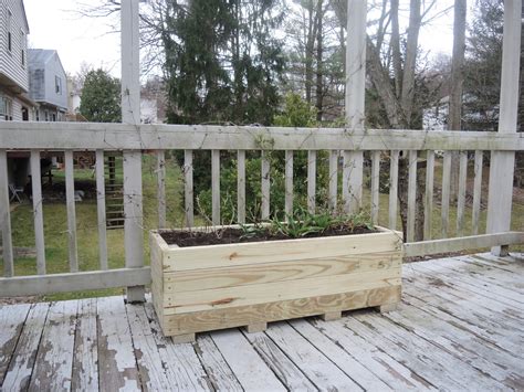 CM Shaw Studios: How to Build a Planter out of Pressure Treated 2x4's