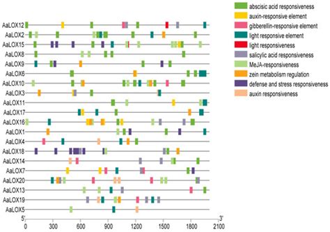 Genome-Wide Identification, Characterization and Expression Analysis of ...