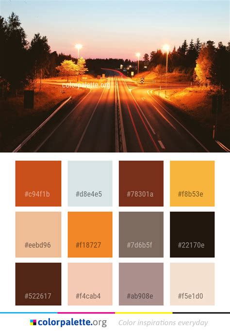 Co-Pilot Color Scheme 的图像结果