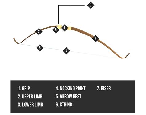 Image result for Bow Types