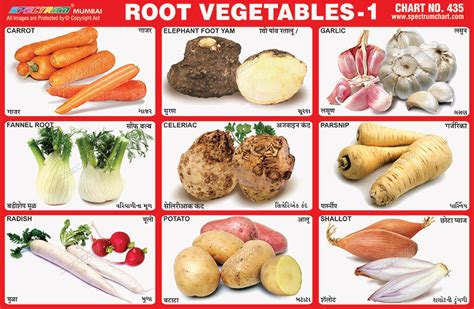 Root.food Names 的图像结果