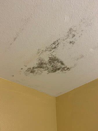 CORPORATE INN (Baton Rouge) - Hotel Reviews & Photos - Tripadvisor