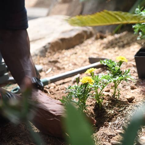 Image result for Landscape Mattock