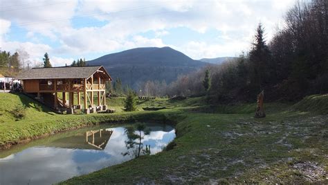 Bunker Linii Arpada, Zhdeniyevo - Tripadvisor