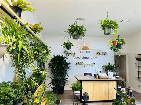 The Dutch House of Plants: A Dutch Legacy in Texas Soil - LubbockEDA