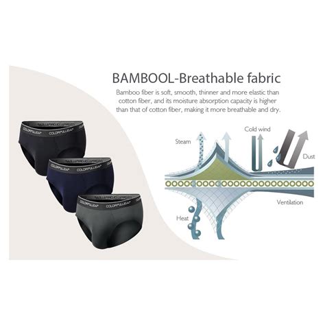 Buy COLORFULLEAF Mens Underwear Briefs Soft Bamboo Rayon Underwear for ...