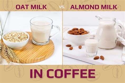Oat Milk vs. Almond Milk In Coffee - Based On The Top 3 Factors