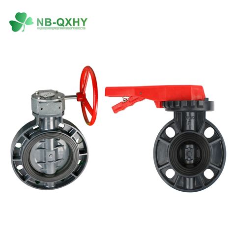 How Does a Manual PVC Check Valve Work 的图像结果