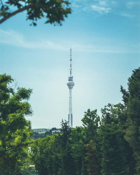 Free Bandwidth Check 的图像结果