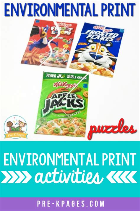 Environment Print 的图像结果