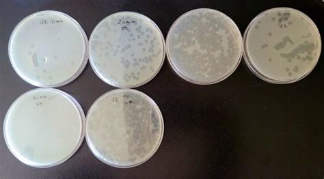 Image result for Multiple-Step Growth Curve