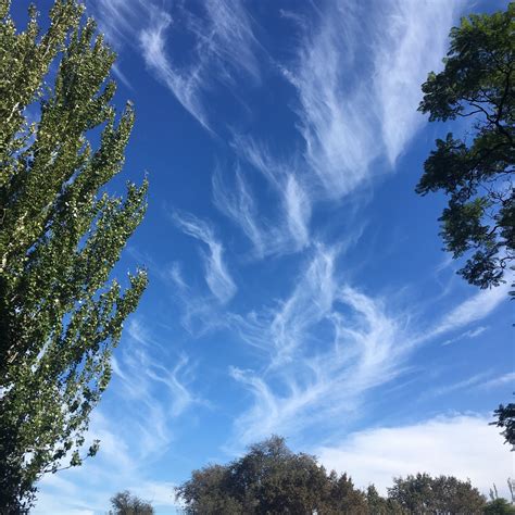 Cirrus - Cloud Appreciation Society