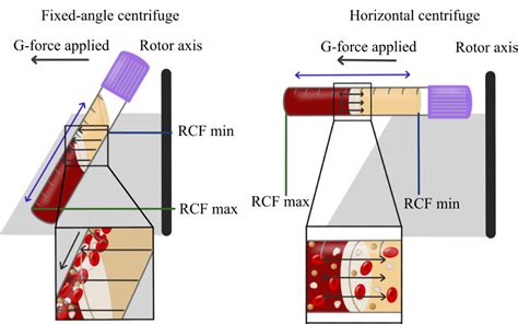 PRF Protocol 的图像结果