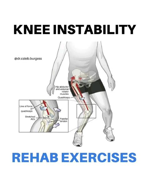 Guide to in home physical therapy for seniors with exercises – Artofit