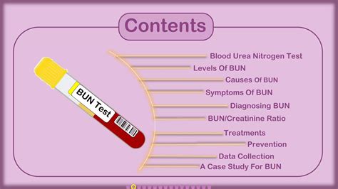 Blood Urea Nitrogen Test | PPTX - bun levels low symptoms
