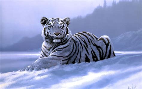 Snow Tiger Wallpapers - Wallpaper Cave