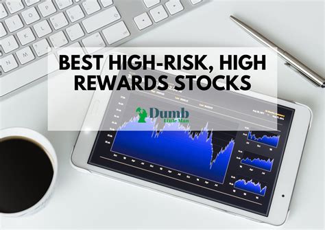 5 Best High-Risk, High Reward Stocks in 2026 • Dumb Little Man